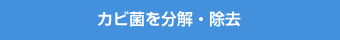 カビ菌を分解・除去